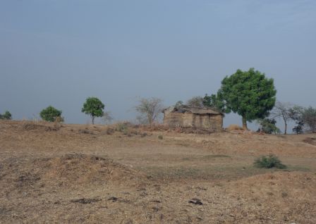 Tchad3